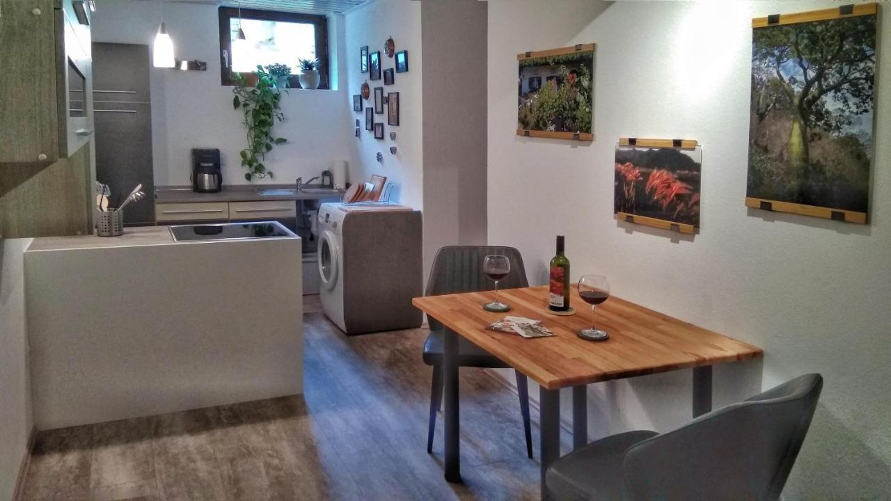 Haus Flora Am Kaiser Apartment