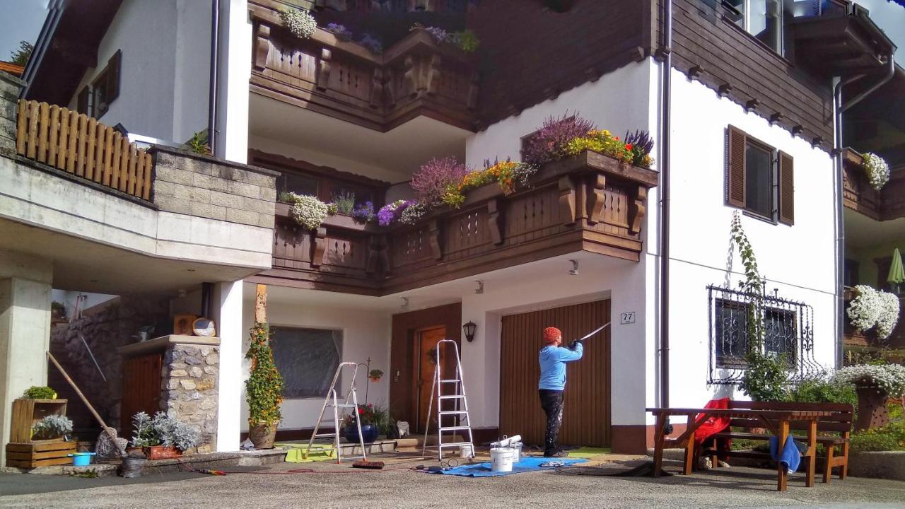 Apartment Haus Flora Am Kaiser Niederndorf (Tyrol)