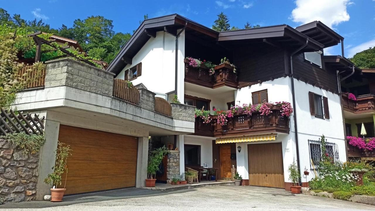 Haus Flora Am Kaiser Apartment