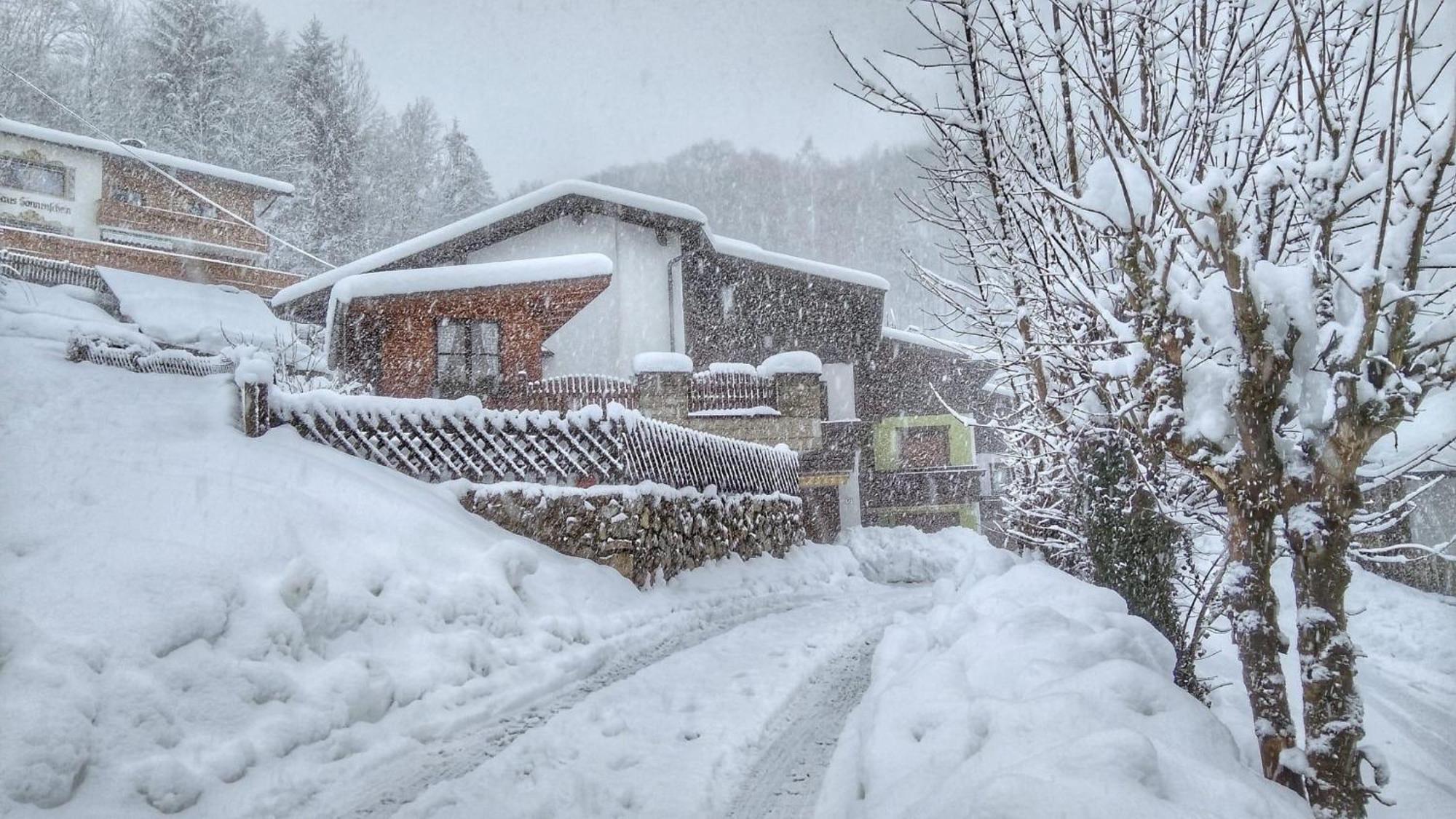 Apartment Haus Flora Am Kaiser Niederndorf (Tyrol)