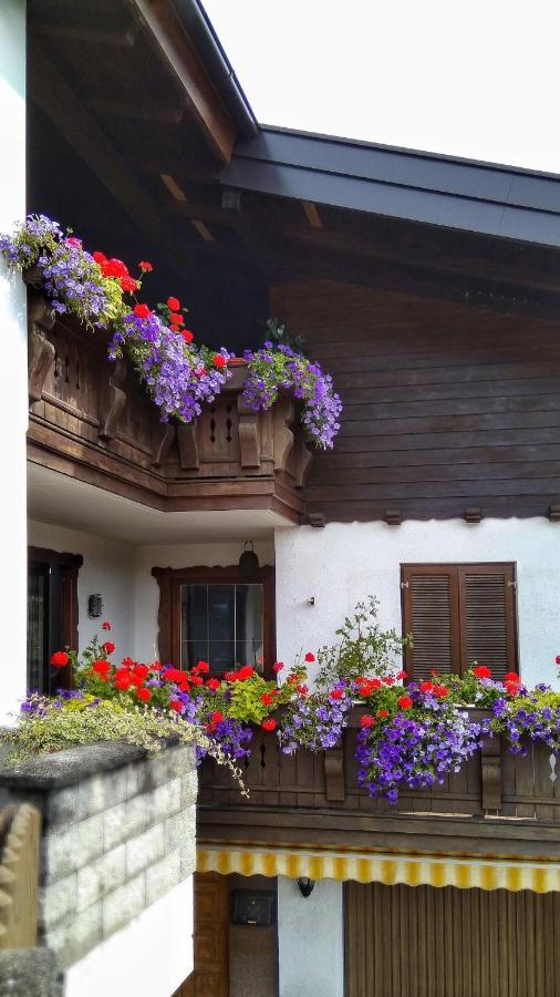 Haus Flora Am Kaiser Niederndorf (Tyrol)
